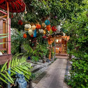  Auberge de jeunesse Travellers Oasis Australie